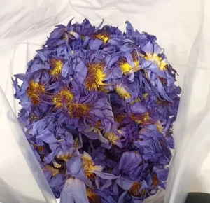 Egyptian Blue Lotus Organic Nymphaea Caerulea Aphrodisiac Herb for Smoking Pre Roll Holistic Wellness Flower Tea