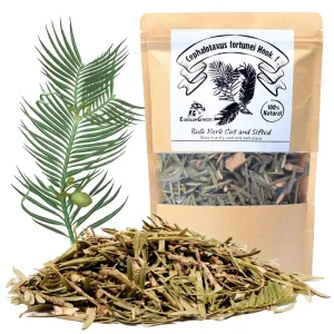 EidolonGreen Dried Cephalotaxus Fortunei Leaf (Torreya Nucifera San Jian Shan Cedarwood) Chinese Herb 3 Oz (88g) Bulk China