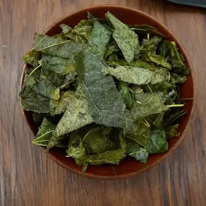 Epimedium Leaves for Men Kidney Fertility Tonifying Kidney Herbs