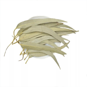 Eucalyptus Leaf Tea Dried Green Herbs
