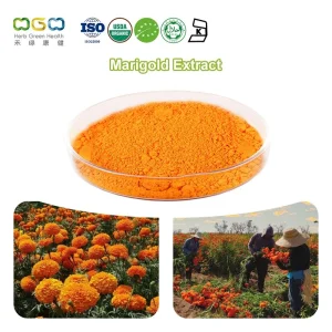Eye Health Lutein 5-80% Marigold Flower Extract Tagetes Erecta Powder