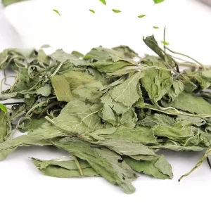 Factory Direct 100% Pure Peppermint Herb Dried Natural Spice for Tea Low MOQ & OEM