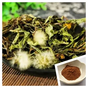 Factory Direct Dandelion Extract (Taraxacum officinale) Powder Flavonoids 3% 5%