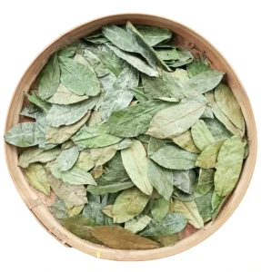 Factory Direct Graviola & Durian Leaf Tea 100% Natural Dried Herbal Blend Low MOQ & Custom Packaging