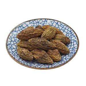 Factory Direct Supply Premium Dried Chinese Olive for Heat Clearing Detoxification and Sore Throat Cough Regulation