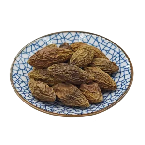 Factory Direct Supply Premium Dried Chinese Olive for Heat Clearing Detoxification and Sore Throat Cough Regulation