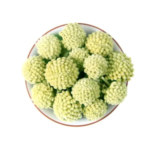 Factory Direct Tibetan Saussurea Herbal Flowers 100% Natural Herbal Materials for Custom Brand Remedy Low MOQ & OEM