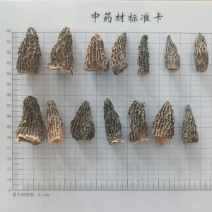 Factory Dried Mushroom Dried Morel Mushroom for Soup Dried Morel Mushroom for Cooking Morchella Mushroom
