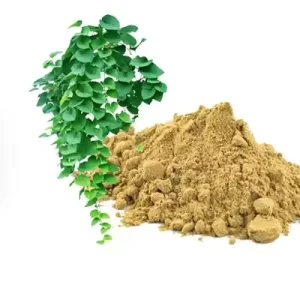 Factory Food Grade Herbal Extract Ivy Leaf (Hederacosides C) Water Soluble Cough Syrup Powder Supplement Cough Hedera