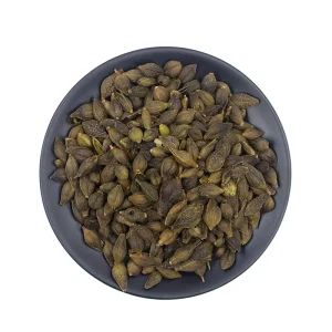 Factory Forsythia Extract Fruits in Plastic Container