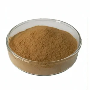 Factory High Quality Plant Extract Cordyceps Militaris Extract Powder 1% Cordycepin Cordyceps Mycelium Extract
