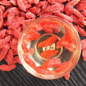 Factory Large Dried Red Goji Berries Sweet Taste Bulk Snacks