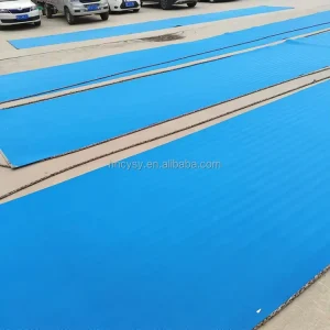 Factory Polyester Sludge Dewatering Mesh Belt for Fruit Press Filter