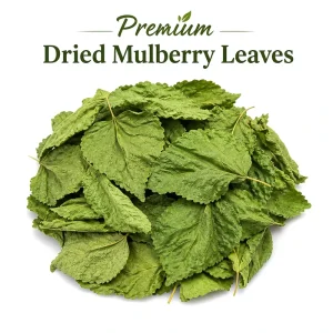 Factory Price Natural Dry Herbs Natural Herbal Tea Dried Mulberry Leaf Chinese Herbs Sang Ye