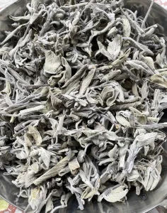 Factory Price Shu Wei Cao Dried White Sage Leaves Herbs for Yoga Meditation and Cleansing