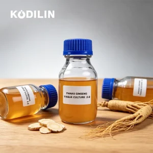 Factory Regenerating Ginseng Stem Cell 80% Ginsenosides Cosmetic Ingredient Ginseng Cell Culture Extract