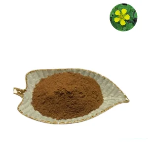 Factory Supply CTM WEI LING CAI Potentilla Chinensis Herb Extract Powder