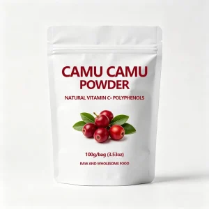 Factory Supply Camu Fruit Extract Powder with Natural Vitamin C Polyphenols CAMU CAMU Powder