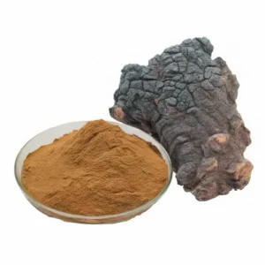 Factory Supply Chaga Mushroom Extract Powder 10:1