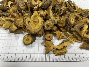 Factory Supply Chinese Dry Herb Hu Zhang Rhizoma Polygoni Cuspidati