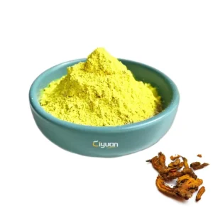 Factory Supply Coptis Chinensis Extract Berberine Hydrochloride Powder