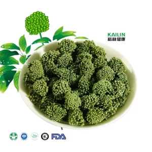 Factory Supply Dried High Quality Notoginseng Flower Sanqi Dried Flos Notoginseng Sanchi for Wellness