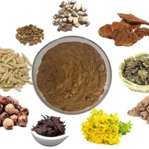 Factory Supply Food Grade Natural Chines Herbal Extract Powder