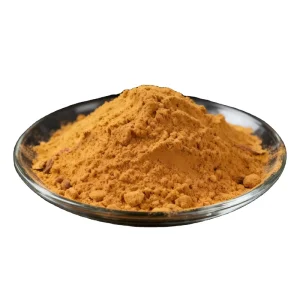 Factory Supply Food Grade SUO YANG Extract Powder Songaria Cynomorium Extract