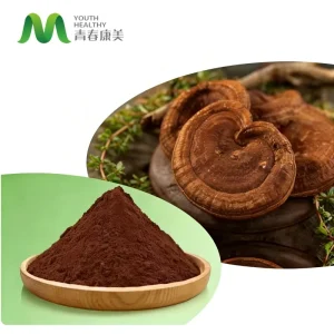 Factory Supply Ganoderma Lucidum Lingzhi Powder High Purity Reishi Mushroom Extract Powder