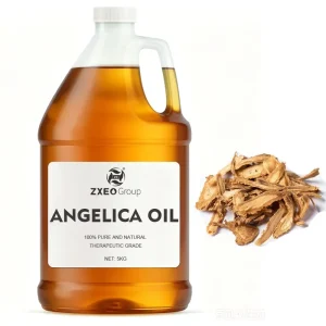 Factory Supply High Quality Angelica Essential Oil for Blood-tonifying Menstrual Regulation Digestive Aid Health Care