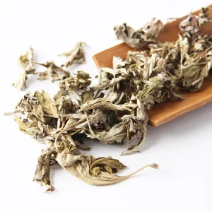 Factory Supply High Quality Dried Mugwort Leaves Pure Natural Dry Herb Wormwood Leaf for Foot Soak Bath Steaming