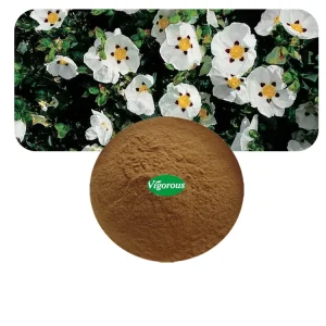 Factory Supply High Quality Free Sample Anti inflammatory Cistus Creticus Extract Cistus Creticus Powder