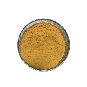 Factory Supply High Quality Rhodiola Rosea Extract 10 1 Rhodiola Rosea Powder