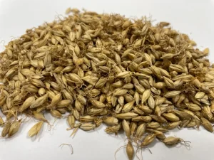 Factory Supply Mai Ya Traditional Chinese Herbal Medicine of Hordei Fructus Germinatus with GMP