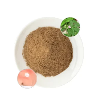 Factory Supply Mimosa Root Bark Extract Pure 10:1 Mimosa Extract Powder