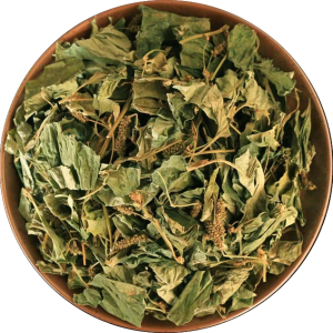 Factory Supply Natural Herbs Chinese Herbal Medicine Fish Mint Houttuynia Cordata