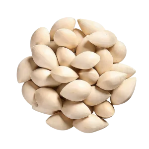 Factory Supply Plump and Full Grains Ginkgo Nuts for Asthma Relief Cough Chinese Food and Soup Ingredients
