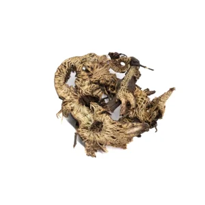 Factory Supply Sheng Ma Herbal Medicine Cimicifuga Dahurica