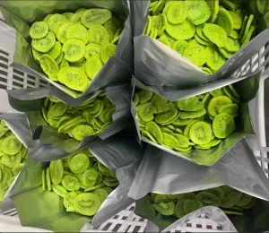 Farm of High Quality Kiwi Fruit Slices Whole Export Fried Kiwi Fruit Crispy Kiwi Fruit Vacuum Frying Kiwifruit