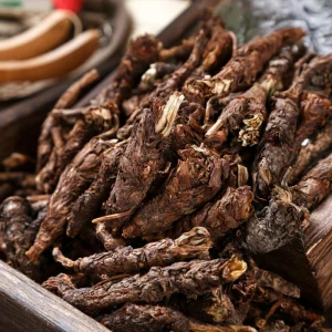 Figwortflower Picrorhiza Rhizome Chinese Herbal Medicine for Digestive Health Support