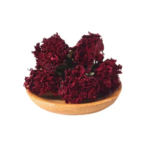 Flavor Tea Carnation Petals Flower Tea Dried Carnation Flowers Herb Tea