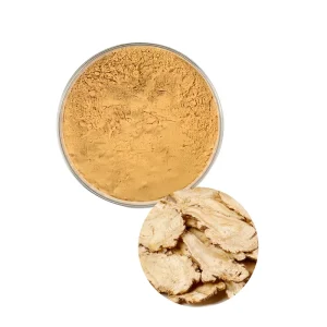 Food Grade Angelica Root Extract Powder Chinese Traditional Herbal Supplement