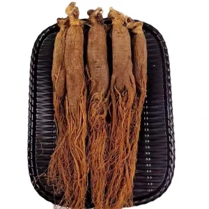 Food Grade Dried Red Ginseng Root Panax Red Ginseng Bulk Supply
