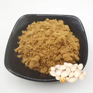 Food Grade Ginkgo Extract Powder 10:1 Water Soluble Drum Packaging