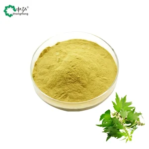 Food Grade Leonurus Extract Powder Chinese Motherwort Herb Extract in Various Packings Bottle Drum Can Mason Plant Extract