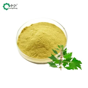 Food Grade Leonurus Extract Powder Chinese Motherwort Leaf Herb Extract in Bottle Drum Can Mason Jar Vacuum Packed