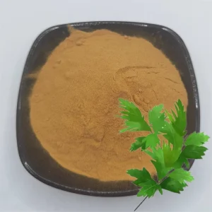 Food Grade Mugwort Leaf Extract 10 1 Water Soluble Powder in Vacuum Packed Drum Packaging
