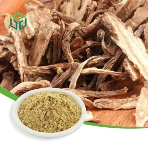 Food Grade Natural Herbal Dong Quai Angelica Sinensis Extract Powder Solvent Extracted CGMP Halal Certified Container CAN