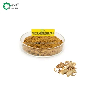 Food Grade Organic Dong Quai Angelica Root Extract