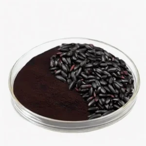 Food Grade Plant Extract Black Rice Extract Powder 25% Anthocyanin Natural Black Rice Seed Extract